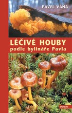 Léčivé houby podle bylináře Pavla